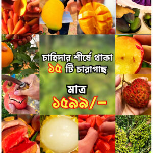 চাহিদার শীর্ষে থাকা ১৫ টি চারা গাছের প্যাকেজ