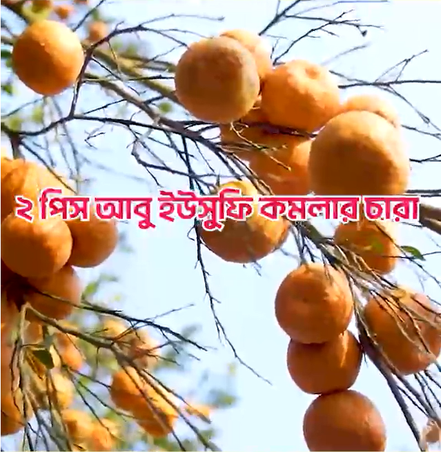 Screenshot_1