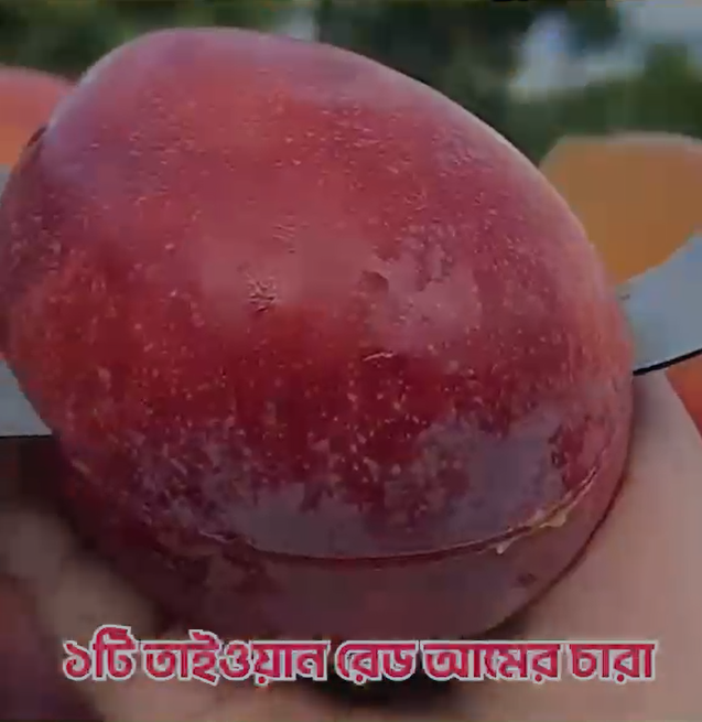 Screenshot_2